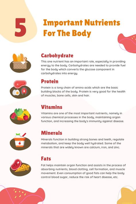 Discover the Top 5 Nutrients Your Body Needs to Stay Healthy Health Lifestyle Quotes, Balanced Meals, Essential Nutrients, Kids Nutrition, Health Lifestyle, Smoothie Diet, Balanced Diet, Healthy Fats, Get Healthy