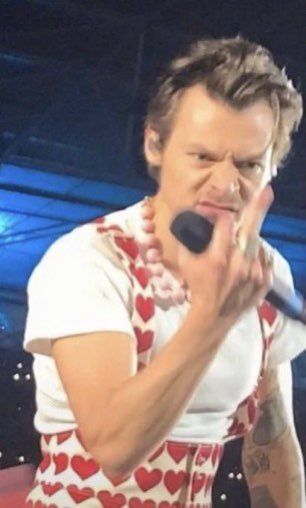 Angry Kitten, Harry And Niall, Kaptan Jack Sparrow, Haikou, Harry Styles Pictures, Harry Styles Photos, Harry Styles Love On Tour, Mr Style, 1d And 5sos