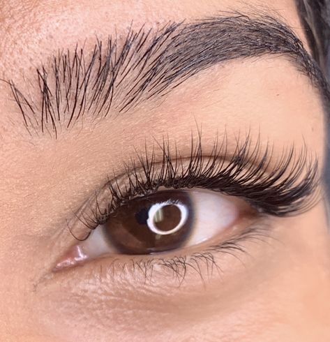 Lash Extensions Styles Natural Mapping, Eyelash Extension Natural Look, Classic Lash Extensions For Hooded Eyes, Hybrid Lash Extensions Styles Natural, Natural Looking Lash Extensions Styles, Natural Lash Extensions Hooded Eyes, Lash Extensions Styles Natural Cat Eye, Eye Lash Extensions Styles Natural, Eyelash Extensions Hooded Eyes