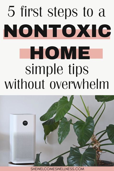 air purifier, green plants, text: 5 first steps to a non-toxic home-simple tips withoout overwhelm Night Self Care, Monthly Self Care, Nontoxic Living, Self Care Night, Toxic Free Living, Chemical Free Living, Detox Your Home, Toxin Free Living, Home Detox