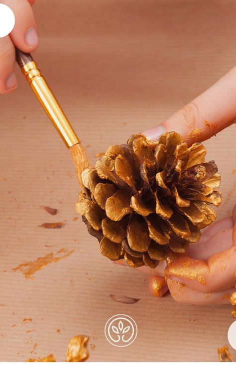 Painting Pinecones, Child Painting, Up Craft, Pine Cones, Dessert, Stock Photos, Christmas, Art