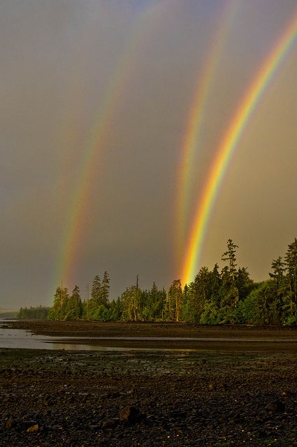 not even sure this is possible! Mirrored double rainbow in Naden Harbour, Haida Gwaii, British Columbia Canada. Rainbows In The Sky, God's Promise, Doreen Virtue, To Infinity And Beyond, Natural Phenomena, Beautiful Rainbow, Beautiful Sky, Heavenly Father, Science And Nature