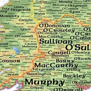 Tracing Your Irish Roots: Great Irish Family Names and their Coats of Arms Irish Surnames Family Names Ireland, Irish Last Names, Brian Boru, Irish Surnames, Irish Genealogy, Irish Coat Of Arms, Irish Ancestry, Ancestry Family Tree, Connemara Marble