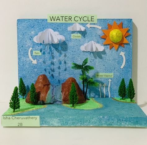 Science Easy Projects For School, Science Primary School Activities, Environmental Science Projects For High School, Watercycle Kids Project Model, School Project Models Ideas, Water Cycle 3d Project, Primary School Art Projects, Science Tlm For Primary, Creative 3d Art Projects