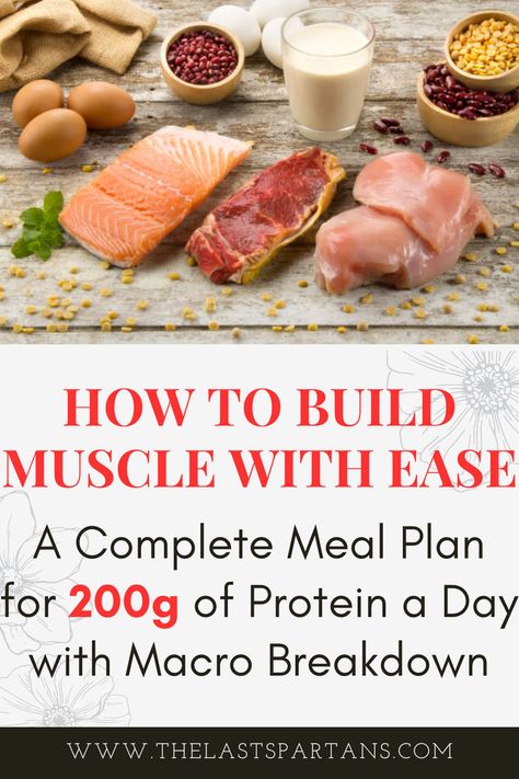 Struggling to hit your daily protein goals? Below is a complete daily meal and macro breakdown for you to hit 200g of protein daily with ease! Here is a sample meal plan for someone aiming to consume 200g of protein per day, along with a breakdown of the macronutrient percentages: Gaining Muscle For Women, Eating For Muscle Gain, Protein A Day, Muscle Building Meal Plan, Muscle For Women, Muscle Gain Meal Plan, Gain Muscle Fast, High Protein Meal Plan, Food To Gain Muscle