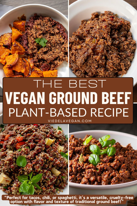 vegan ground beef recipe Vegan Meat Options, Plant Based Crumbles Recipes, Vegan Ground Beef Recipes For Dinner, Vegan Meat Crumbles Recipe, Plant Based Hamburger Recipes, Lentil Ground Beef Substitute, Veggie Ground Round Recipes, Plant Based Vegan Recipes For Beginners, Vegetarian Ground Beef Recipes