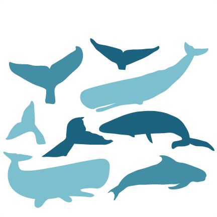 Whale Silhouette, Svgs Free, Whale Pictures, Silhouette Cameo Files, Fish Template, Free Svgs, Svg Images, Cute Clipart, Love Svg