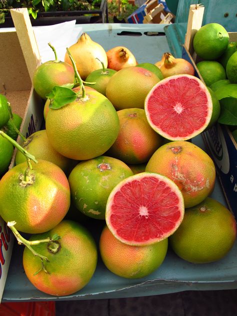 Peach Vibes, Siracusa Sicily, Pretty Fruit, Citrus Grove, Everyday Italian, Citrus Trees, Beautiful Fruits, Exotic Fruit, Pink Grapefruit