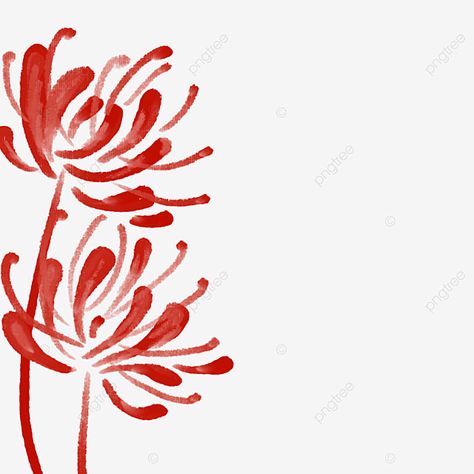 Red Flower Types, Red Spider Lily Flower Drawing, Spider Lily Drawing Easy, Simple Spider Lily Drawing, Red Lily Drawing, Red Spider Lily Drawing Tutorial, Red Spider Lily Drawing Easy, Spiderlili Drawing, How To Draw Spider Lily