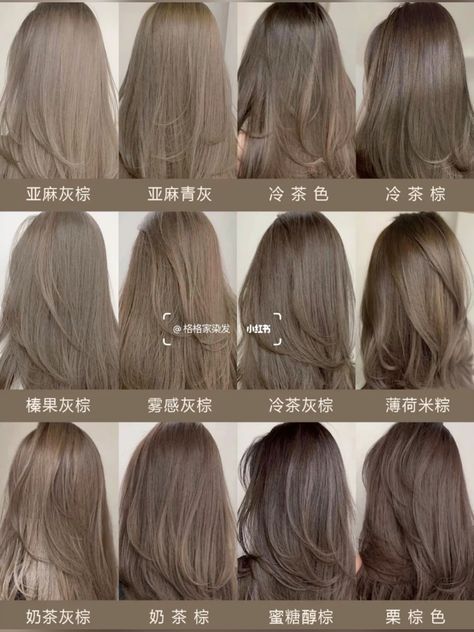 hair health products Brown Ash Grey Hair, Shades Of Ash Brown Hair Color, Different Kinds Of Brown Hair, Ash Brown Hair Color Palette, Hair Color Grey Brown, Ash Taupe Gray Hair Color, Milk Ash Brown Hair, Chocolate Greige Hair Color, Ash Brown Hair Makeup