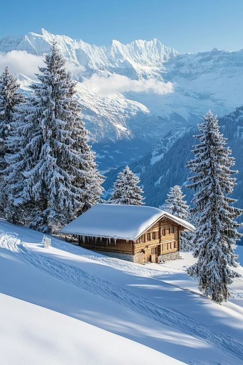 "Embrace winter magic in the Swiss Alps! ❄️🏔️ From world-class skiing to cozy alpine lodges, experience the ultimate snowy adventure in Switzerland. 🎿🏔️ #SwissAlpsWinter #SkiingSwitzerland #TravelSwissAlps" Swiss Alps Winter, Ski Switzerland, Switzerland Christmas, Switzerland In Winter, Swiss Ski, Alpine Lodge, Switzerland Photography, Zermatt Switzerland, Winter Magic