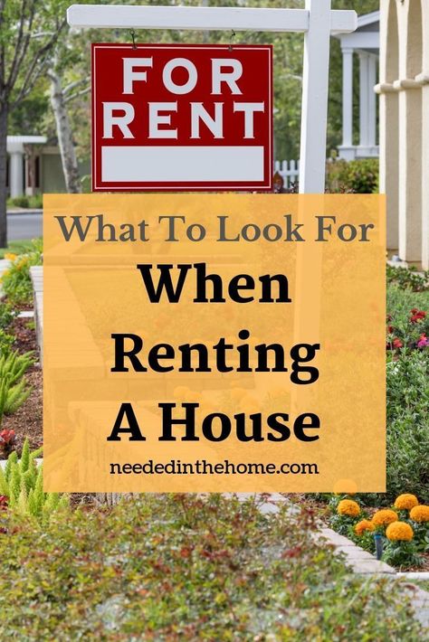 Renting House Tips, Renting A House Checklist, House Renting Tips, First Time Renters Tips, Renting A House First Time, How To Rent A House, Renting Hacks, Renting Tips, Houses For Rent Near Me