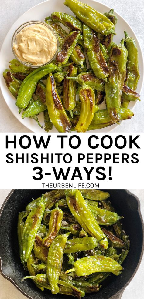 Roasted Shishito Peppers, Shishito Pepper Recipe, Blistered Shishito Peppers, Vegetarian Party, Shishito Peppers, Stuffed Peppers Healthy, Oh Sweet Basil, Sushi Night, Quick And Easy Appetizers