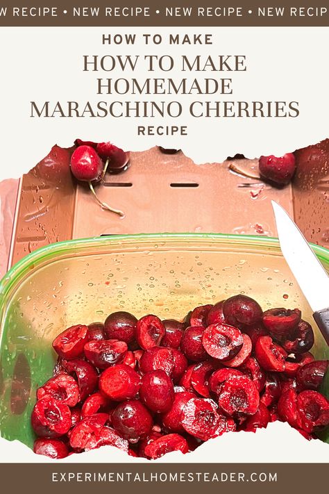 Learn how easy it is to make and can your own homemade maraschino cherries. Not only do these taste great, but they are easy to preserve too! #homemademaraschinocherries #maraschinocherries #maraschinocherryrecipes #maraschinocherries #maraschinocherry Mari Chino Cherry Recipes, Homemade Maraschino Cherries, Marchino Cherry Recipes, Maraschino Cherry Recipes, Sweet Cherry Recipes, Maraschino Cherries Recipes, Cherries Recipes, Creative Canning, Marachino Cherries