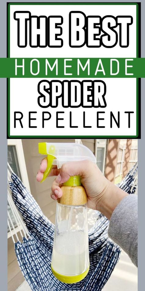 Add this DIY gardening tip to your list this spring and summer. Our DIY Homemade spider repellent spray not only works fast and safe to use, but it is very easy to make. The natural spider repellent diy essential oils will make it very effective at repelling all types of spiders. This will be your favorite homemade bug spray recipe! Get the details here today for your backyard, indoor, outdoor, garage, or anywhere spiders pop up. Spider Repellent Diy Essential Oils, Spider Repellent Diy, Homemade Spider Spray, Spiders Repellent Diy, Diy Bug Repellent Spray, Natural Spider Repellent, Homemade Bug Spray Recipe, Natural Bug Spray Recipe, Indoor Outdoor Garage