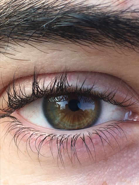 Dark Hazel Eyes Aesthetic, Hazel Eyes Men, Dark Hazel Eyes, Arabian Eyes, Pretty Eyes Color, Green Brown Eyes, Hazel Green Eyes, Eye Color Chart, Beautiful Eyes Color