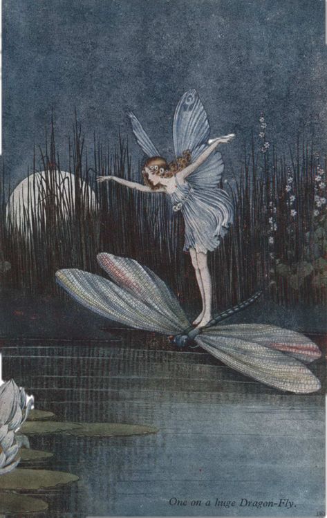 Dragonfly Fairy, Ida Rentoul Outhwaite, Illustration Japanese, Kay Nielsen, Edmund Dulac, Fairy Butterfly, Images D'art, Fairy Wallpaper, Fairy Illustration