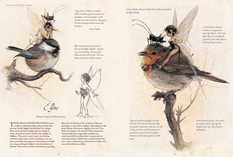 Celtic Faeries, Celtic Creatures, Jean Baptiste Monge, Faerie Art, Fairytale Creatures, Fantasy Kingdom, Fantasy Authors, This Generation, Art Et Illustration