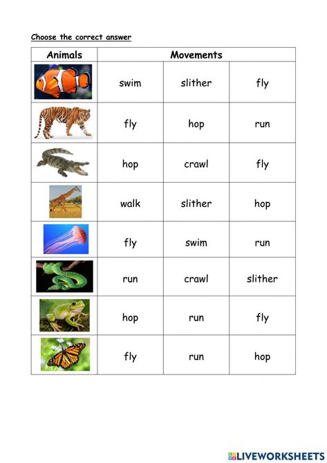 Kinds Of Animals Worksheets, Animals Movement Worksheet, Animal Coverings, Movement Of Animals, Animal Movement, Activity Worksheet, Animal Worksheets, Spelling Practice, Movement Activities