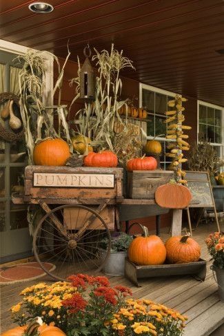 Primitive Fall autumn fall prim entrance wreath fall decorations front door fall decorating Pumpkins And Gourds, Outside Fall Decor, Halloween Decorations Diy Outdoor, Primitive Fall, Autumn Display, Fall Deco, Autumn Decorating, Diy Outdoor Decor, Fall Front Porch