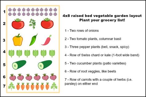 4x8 Raised Bed Vegetable Garden Layout Ideas: What to Sow and Grow Vegetable Garden Layout Ideas, Raised Bed Vegetable Garden Layout, Raised Bed Layout, Raised Bed Garden Layout, Raised Bed Vegetable Garden, Vegetable Garden Layout, Raised Vegetable Garden, Garden Bed Layout, Garden Layout Ideas