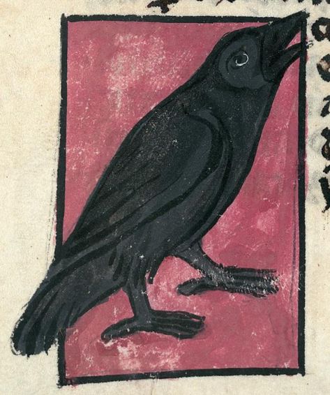 Medieval Bestiary : Beasts : Crow Medieval Bestiary Illustrations, Medieval Manuscript Illustration, Medieval Art Illustration, Alchemical Tarot, Medieval Beasts, Crow Illustration, Pottery Aesthetic, Medieval Animals, Medieval Illustration