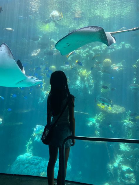 Aquarium Trip, Aquarium Pics, Chicago Aquarium, Aquarium Of The Pacific, Aquarium Pictures, Chicago Summer, Dream Friends, Insta Photo Ideas, Travel Inspo