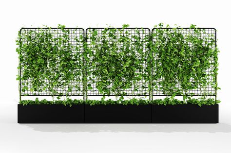 helen kontouris's botanical planter screens invite nature into the home Wall Fence, Self Watering Planter, House Plants Decor, Roof Garden, Cafe Design, Green Wall, Backyard Design, Vertical Garden, 인테리어 디자인