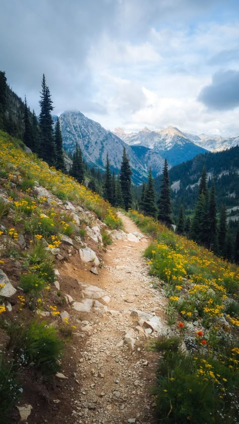 hiking trail and mountain views in Washington USA Beginner Hiking, Landscape References, Washington Hikes, Mountain Pictures, Landscape Reference, Arte 8 Bits, Photographie Portrait Inspiration, Image Nature, Landscape Inspiration