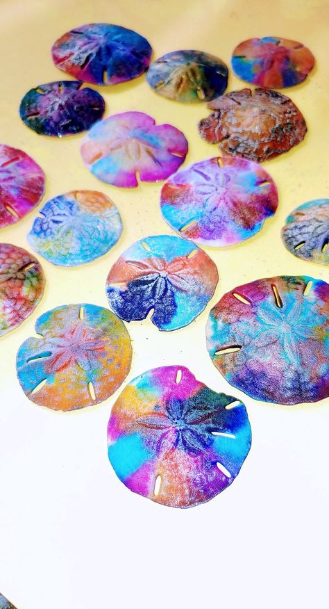 Crafts Using Sand Dollars, Sand Dollar Decor, Beach Art Crafts, Sand Dollar Painting, Dollar Painting, Painted Sand Dollars, Sand Dollar Craft, Sand Dollar Art, Dollar Art