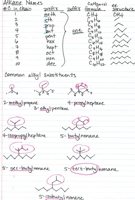 Organic chemistry nomenclature, alkane names, common substituents Chemistry Nomenclature, Organic Chemistry Cheat Sheet, Organic Chemistry Notes, Organic Chemistry Reactions, Chemistry Help, Organic Chem, Organic Chemistry Study, Chemistry Study Guide, Chemistry Basics