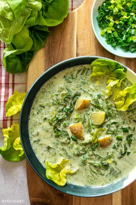 Delicious Butter Lettuce Soup [RECIPE!] | Polonist Lettuce Recipes Cooked, Butter Soup, Soup With Greens, Lettuce Recipe, Unusual Soup Recipes, Recipes With Lettuce, Cooked Lettuce Recipes, Cream Of Lettuce Soup, Super Green Soup Recipe