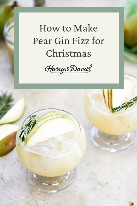 Looking for a refreshing holiday cocktail? Try our Pear Gin Fizz Recipe! This light and fizzy drink combines the sweet and fruity flavor of pear with the herbal notes of gin. Perfect for sipping on a cozy night in with loved ones. 
Serve this cocktail in a pretty glass with a slice of fresh pear as a garnish! Pear Fizz Cocktail, Pear Elderflower Cocktail, Pear Garnish, Pear Gin Fizz, Pear Gin, Gin Fizz Recipe, Pear Cocktail, Gin Fizz Cocktail, Pear Cocktails