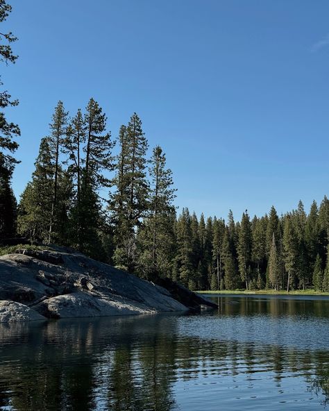 - a california summer - swimming in lakes, eating s’mores and learning that 🌭 are called glizzys 🪵⛺️🥾🚐👙🗻 myself & 3 besties (that I met traveling in portugal! how cool!) decided to rent a van, that we named bucky and do a little road trip up to Yosemite National Park 🚐✨🫶🏼 📍 our first stop being shaver lake, where we camped at dorabelle campground ⛺️ can’t wait to share more from this trip 🫶🏼 #roadtrip #california #travel #camping #vanlife #yosemite 3 Besties, Shaver Lake, Summer Swimming, California Summer, Summer Swim, Yosemite National, California Travel, Yosemite National Park, Van Life