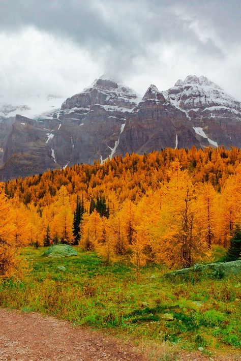 “The Valley of the Ten Peaks in Banff National Park, Alberta, is a picturesque landscape that has inspired many painters and artists.  So spectacular, that it graced the backside of the 1969, and 1979 twenty dollar bill. All ten peaks are over 10,000 ft high, aligned together creating a massive mountain presence, surrounding an enormous valley.” - A Wandering Foodie 📸: Joshua Woroniecki #travel #traveldestination #aesthetic #Traveltips #fall #autumn #fallleaves #falltrip Banff Aesthetic Fall, Banff Aesthetic, Twenty Dollar Bill, Banff National Park Canada, Picturesque Landscape, Banff Alberta, Us Destinations, Nature View, Fabulous Fall