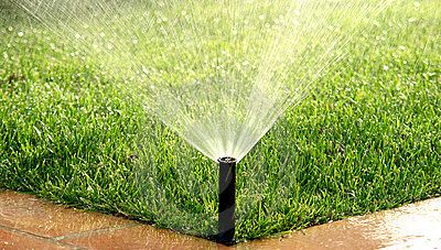 Automatizált öntözőrendszerek tervezése kiépítése.  http://kertaszok.hu/ontozorendszerek Landscape Irrigation, Watering Lawn, Sprinkler Repair, Sod Installation, Automatic Irrigation System, Lawn Irrigation, Water Irrigation, Grass Type, Professional Landscaping