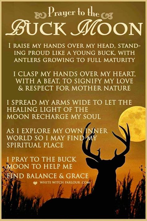 Prayer to the Buck Moon Moon Prayer, Full Moon July, Full Buck Moon, Pagan Moon, Moon Capricorn, Buck Moon, Celtic Pagan, Moon Meaning, Moon Magick