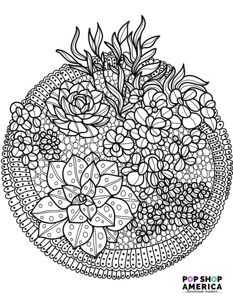 Succulent Coloring Page, Succulent Terrariums, Adult Coloring Books Printables, Free Adult Coloring Pages, Colouring Printables, Printable Adult Coloring Pages, Adult Coloring Book Pages, Coloring Pages For Girls, Mandala Coloring Pages