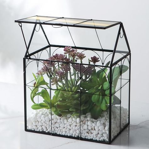 The large air plant terrarium is house shape design, crafted from ultra-clear glass and a sturdy black frame, making it both lead-free and durable. The planter have beautiful black accent and ventilation,with its soft line design, like garden windows of the house,nice on the centerpiece of your table The big glass plant terrarium comes in a unique big house shape with a swing lid, which not only adds a touch of whimsy but also allows for ample oxygen flow through the roof. The delicate appearanc Cacti Terrarium, Greenhouse Terrarium, Terrarium House, Large Glass Terrarium, Large Air Plants, Glass Greenhouse, Cactus Terrarium, House Planter, Plant Terrarium