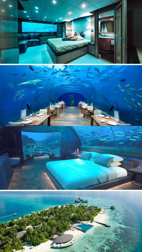 Underwater hotels around the world Underwater Hotel Florida, Underwater Resort, Maldives Underwater Hotel, Dream Activities, Underwater Hotel Room, Underwater Room, Best Hotels In The World, Bulletproof Clothing, Destination Imagination