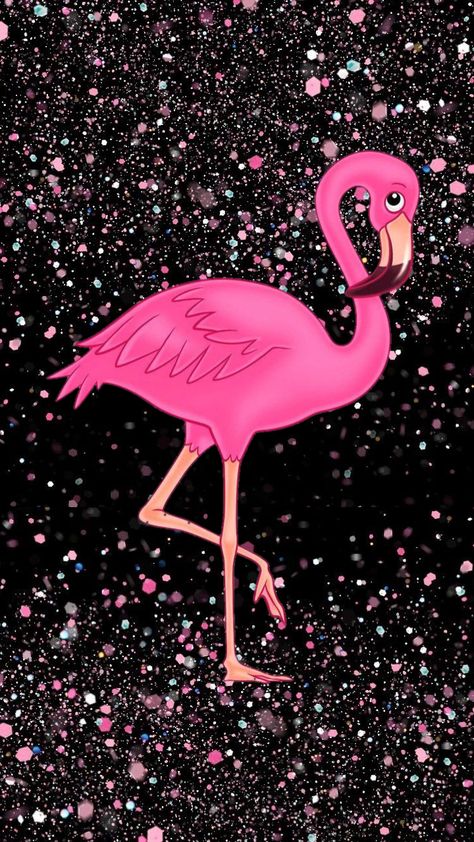 Flamingo Wallpaper Iphone, Pinkflamingousa Wallpaper, Flamingo Iphone Wallpaper, Iphone Wallpaper Flamingo, Flamingo Phone Wallpaper, Cute Flamingo Wallpaper, Flamigo Backgrounds, Flamingo Wallpaper Iphone Pink, Pink Flamingos Wallpaper