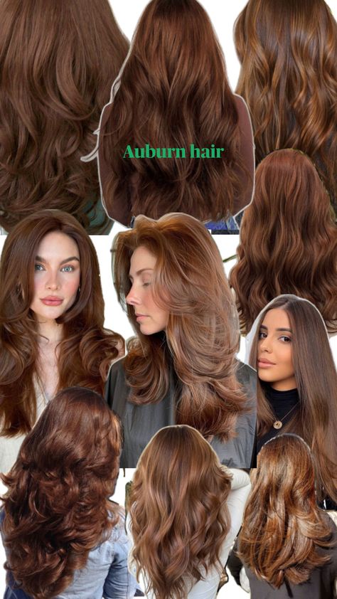 deep reddish brown hair colour, hints of orange Hair Dye Ideas Auburn, Auburn Hair Actress, Hair Inspo Color Brunettes Curly, Chocolate Mohagany Hair, Reddish Brown Hair Natural, Natural Hair Colours Ideas Dyes, Shirt Light Brown Hair, Dark Auburn Hair Natural, Long Curly Auburn Hair