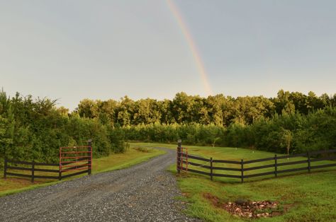 Rural Driveway, Grass Pavers Driveway, Driveway Design Ideas, Country Driveway, Driveway Materials, Permeable Driveway, Grass Pavers, Rural Home, Recycled Concrete