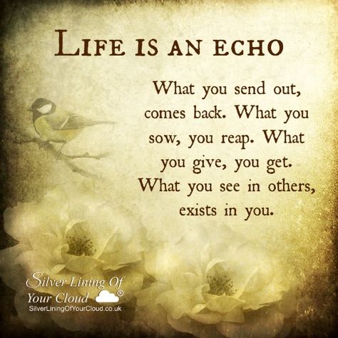 La vida es un eco. Aquello que envías vuelve.  Lo que coses, lo descoses. Lo que das, recibes.  Lo que ves en los otros, existe en ti. What You Give Is What You Get, You Get Out What You Put In Quotes, What You See Is What You Get Quotes, I Exist Quotes, You Get What You Give, Life Is An Echo, Get What You Give, Fantastic Quotes, Reap What You Sow