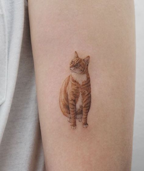 Red Cat Tattoo, White Cat Tattoo, Orange Cat Tattoo, A Cat Tattoo, Small Cat Tattoo, Tattoo Gato, Watercolor Cat Tattoo, Cat Tattoo Simple, Cute Cat Tattoo