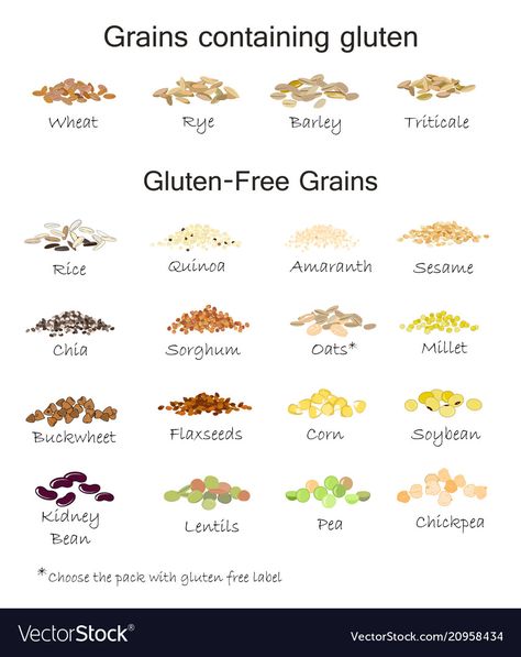 Celiac Diet, Gluten Free Food List, Gluten Free Info, What Is Gluten, Auto Immune, Gluten Free Living, Gluten Sensitivity, Gluten Free Grains, Gluten Free Dairy Free Recipes