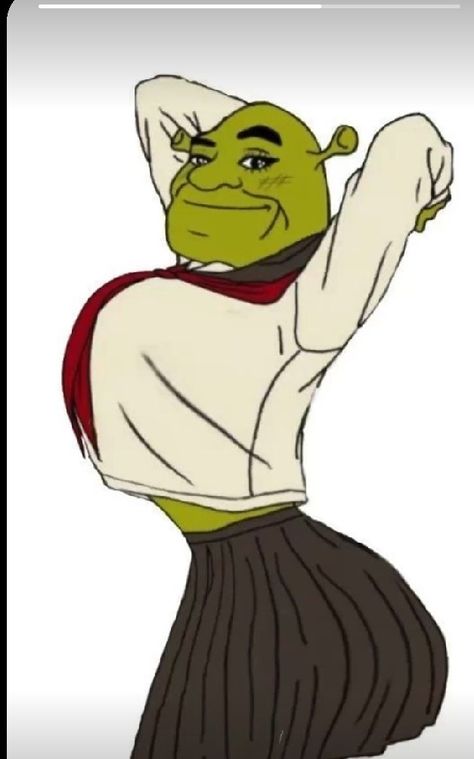 Shrek Funny, Crazy Funny Pictures, Goofy Pictures, Funny Drawings, 웃긴 사진, Very Funny Pictures, Funny Profile Pictures, Quick Jokes, Really Funny Pictures