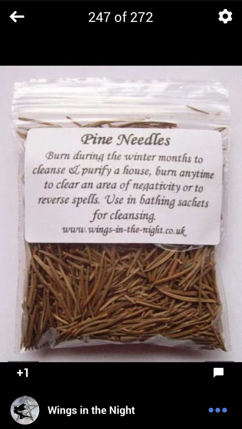 Pine Needles: Reverse Spells, Purify | Magical herbs, Magickal herbs, Magic herbs Feminine Herbs, Herb Healing, Holistic Food, Blue Chakra, Magickal Herbs, Witch Herbs, Retirement House, Spell Jars, Wiccan Magic