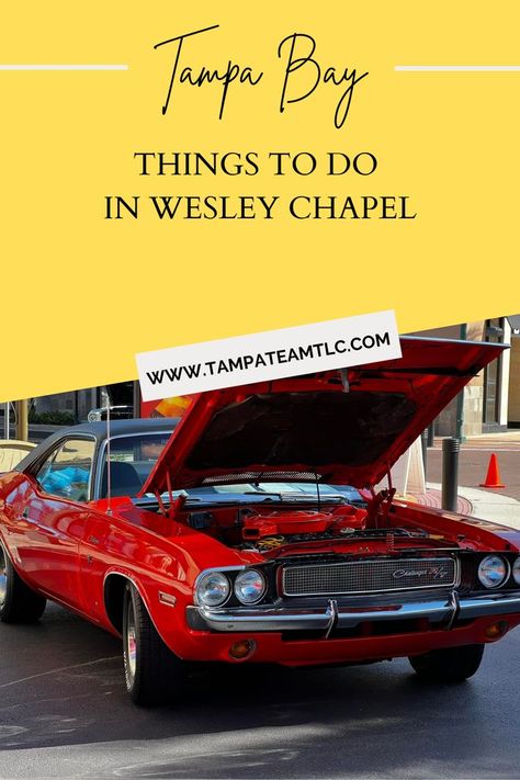 Fun things to do in Wesley Chapel FL Wesley Chapel Florida, Vacation Ideas, Tampa Bay, Fun Things, Fun Things To Do, Tampa, Things To Do, Florida, History