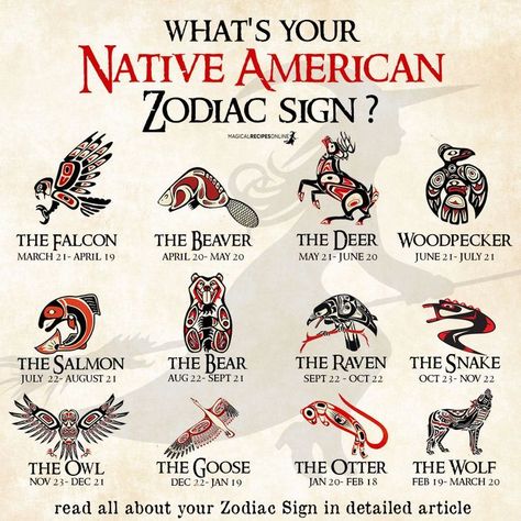 Native American Quotes, Native American Zodiac, Native American Spirituality, American Quotes, Numerology Life Path, Native American Symbols, American Symbols, American Tattoos, Astrology Zodiac